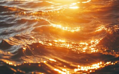 Pourquoi accepter sa souffrance aujourd’hui est nager à contre-courant des tendances et créer – pourtant – les conditions favorables au réveil ?